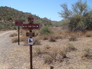 photo thumbnail #8