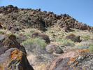 photo thumbnail #6