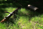 photo thumbnail #3