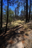 photo thumbnail #7