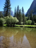photo thumbnail #14