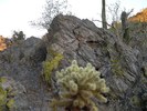 photo thumbnail #11