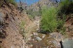 photo thumbnail #9