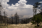 photo thumbnail #6