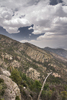 photo thumbnail #14