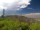 photo thumbnail #8