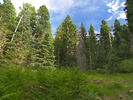 photo thumbnail #13