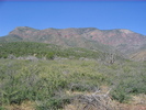 photo thumbnail #3