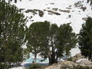 photo thumbnail #13