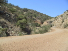 photo thumbnail #4