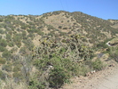 photo thumbnail #6