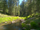 photo thumbnail #6