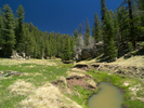 photo thumbnail #13