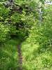 photo thumbnail #15