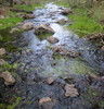photo thumbnail #10