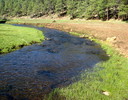 photo thumbnail #11