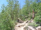 photo thumbnail #14