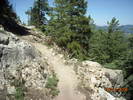 photo thumbnail #5