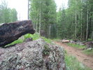 photo thumbnail #2
