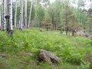 photo thumbnail #4