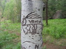 photo thumbnail #6