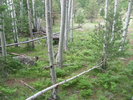 photo thumbnail #7