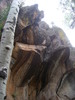 photo thumbnail #12