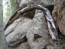 photo thumbnail #13