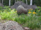 photo thumbnail #15
