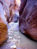 photo thumbnail #15