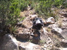 photo thumbnail #5