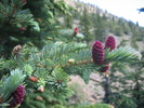 photo thumbnail #2