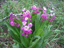 photo thumbnail #6