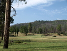 photo thumbnail #3