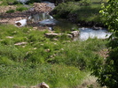 photo thumbnail #6