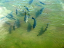 photo thumbnail #11