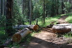 photo thumbnail #2