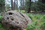 photo thumbnail #11
