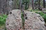 photo thumbnail #12