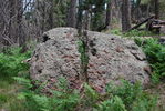 photo thumbnail #13