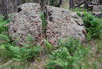 photo thumbnail #14