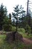 photo thumbnail #15
