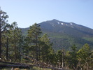 photo thumbnail #7