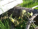 photo thumbnail #9