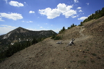 photo thumbnail #15