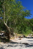 photo thumbnail #10
