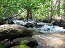 photo thumbnail #5
