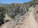 photo thumbnail #11