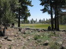photo thumbnail #13