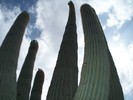 photo thumbnail #4